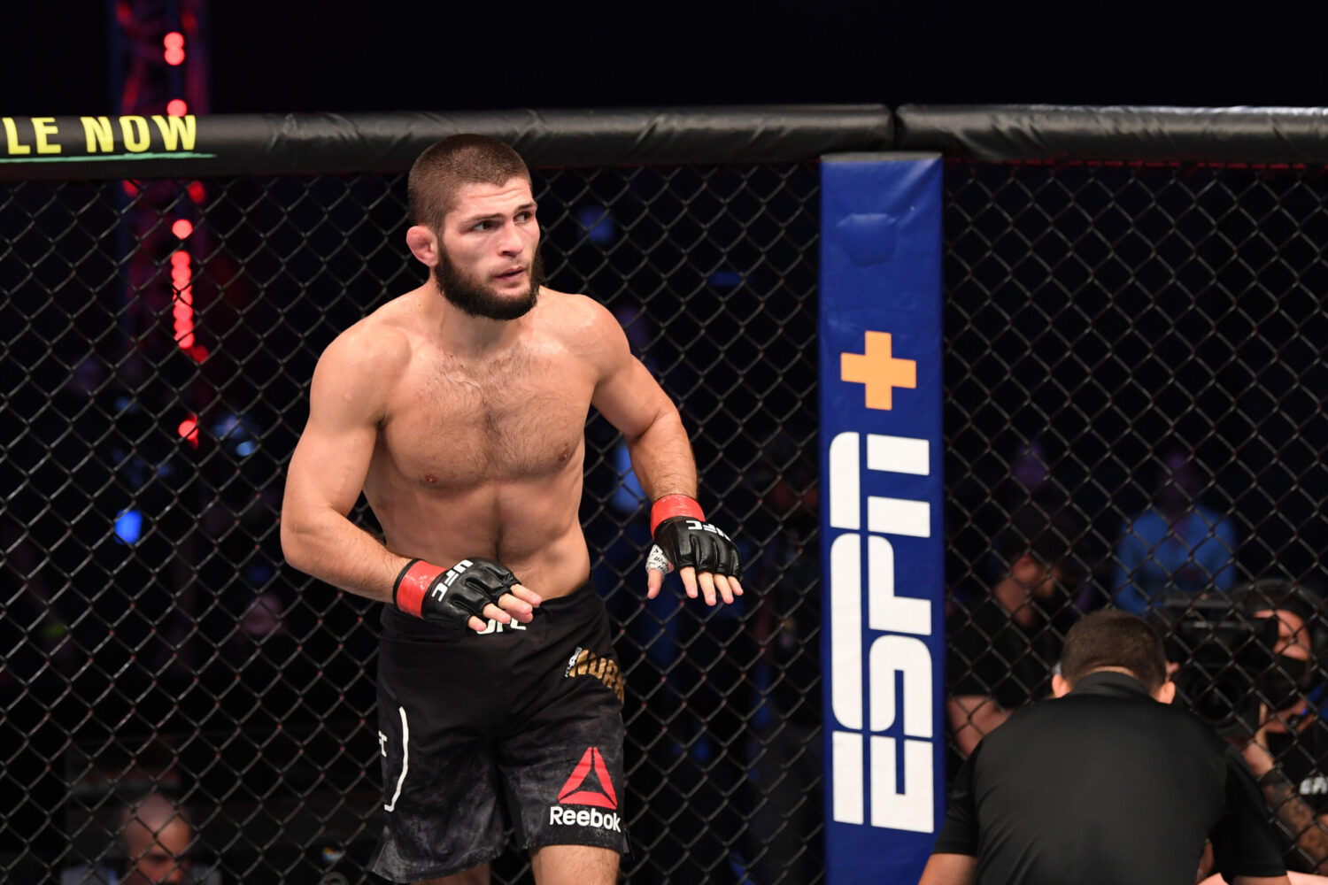Khabib