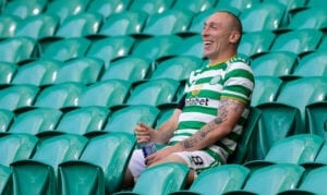 Brown Celtic