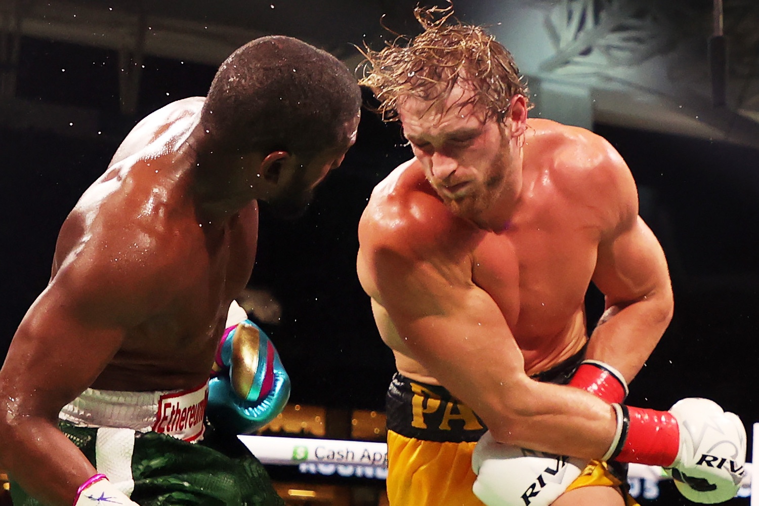 Floyd Mayweather and Logan Paul