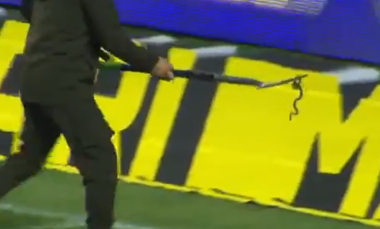 Snake