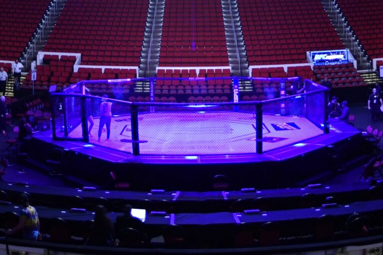 UFC