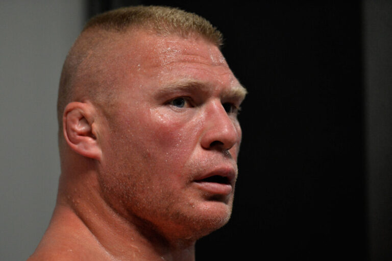 Brock Lesnar WWE