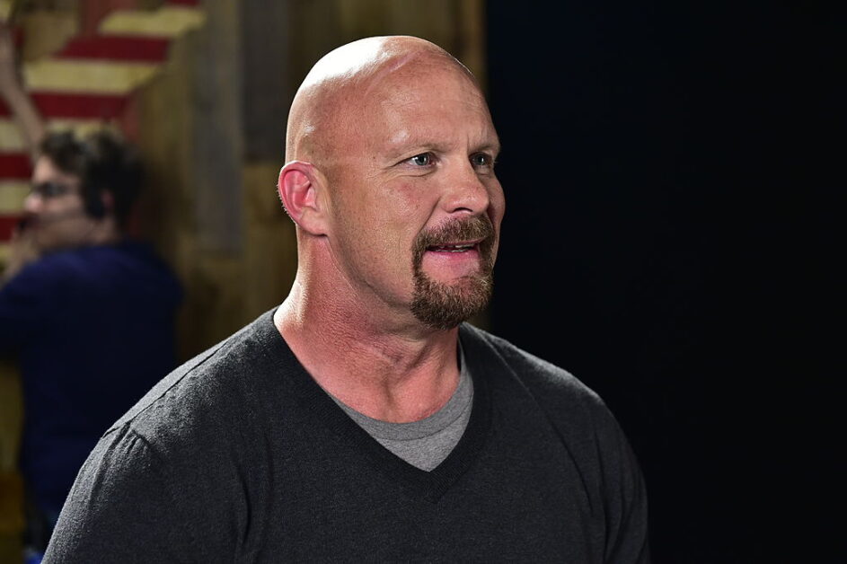 Steve Austin net worth